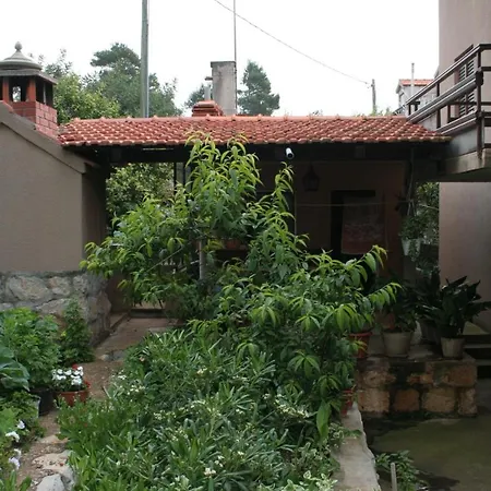 By The Sea Prizba, Korcula - 4484 Prizba