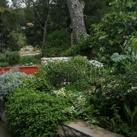 By The Sea Prizba, Korcula - 4484 * Prizba